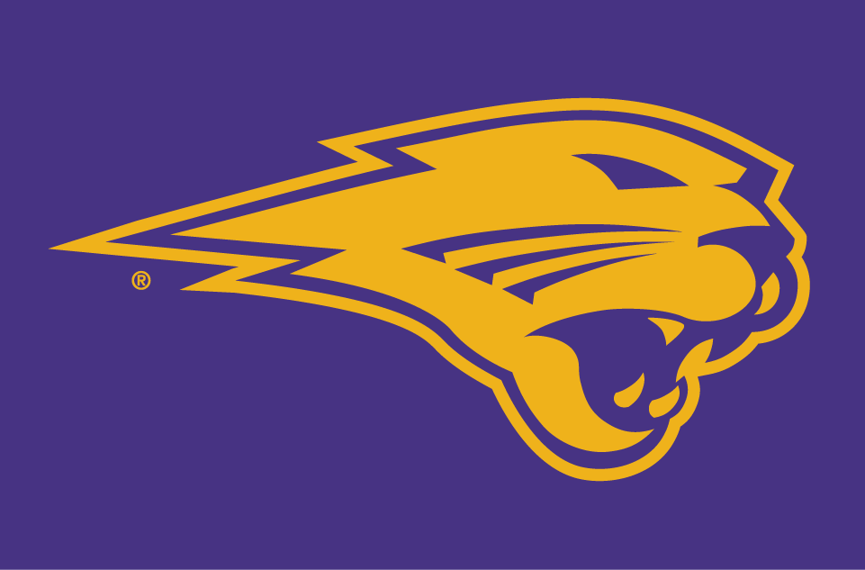 Northern Iowa Panthers 2002-Pres Partial Logo v3 DIY iron on transfer (heat transfer)